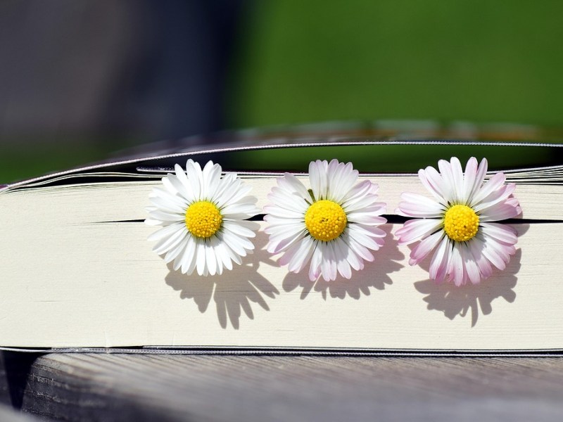 Spring Book Wrap-Up&nbsp;(2025)